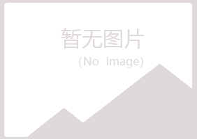 青岛四方如柏培训有限公司